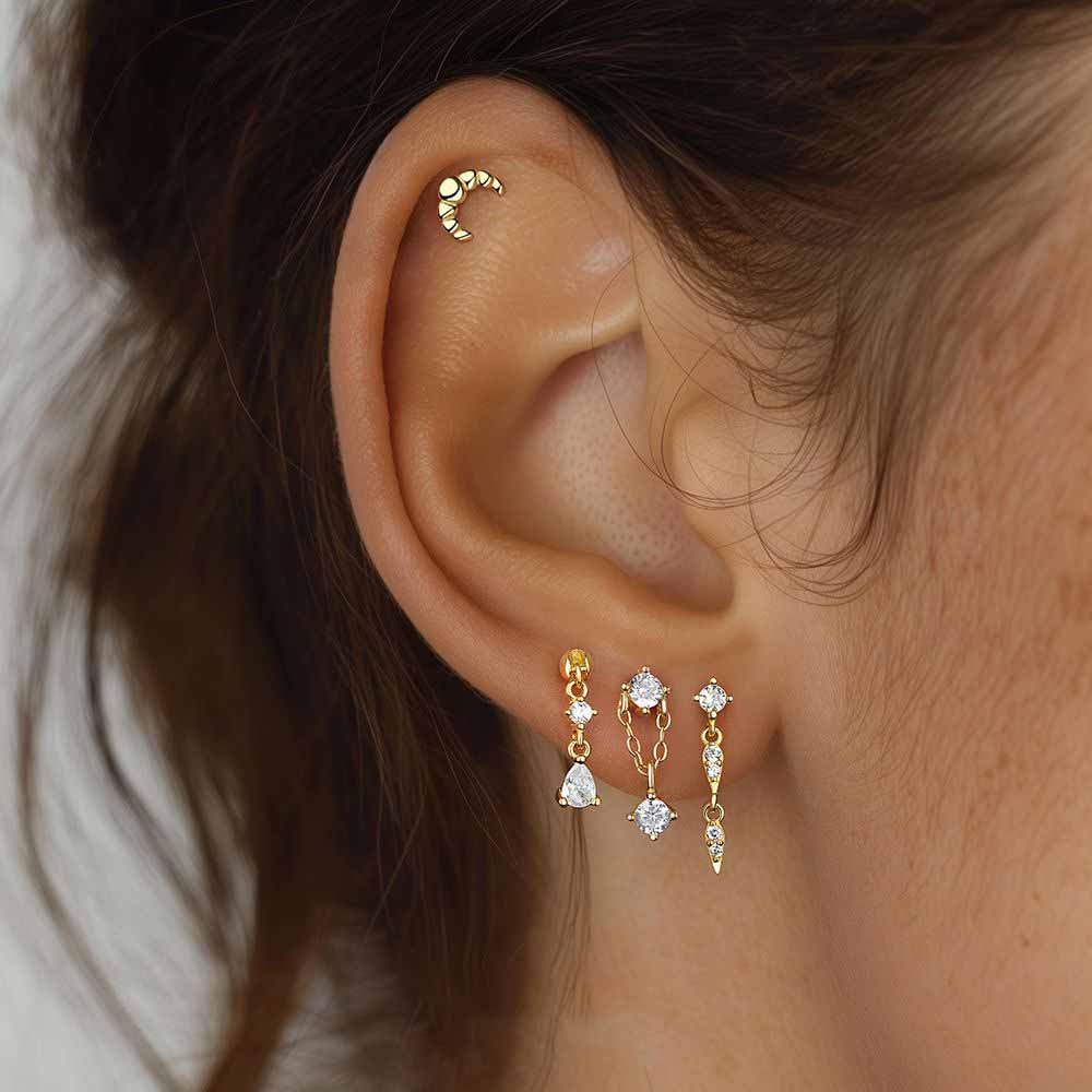 Fashion Golden CZ Heart Moon Star Flower Chain Tasselsyt6 925 Sterling Silver Stud Earrings